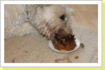 Ayme's 6. Geburtstag, sie hat es sich gut schmecken lassen !!