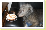 Happy Birthday my Love !!