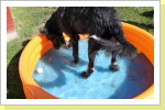 Sie liebt Wasser !!
